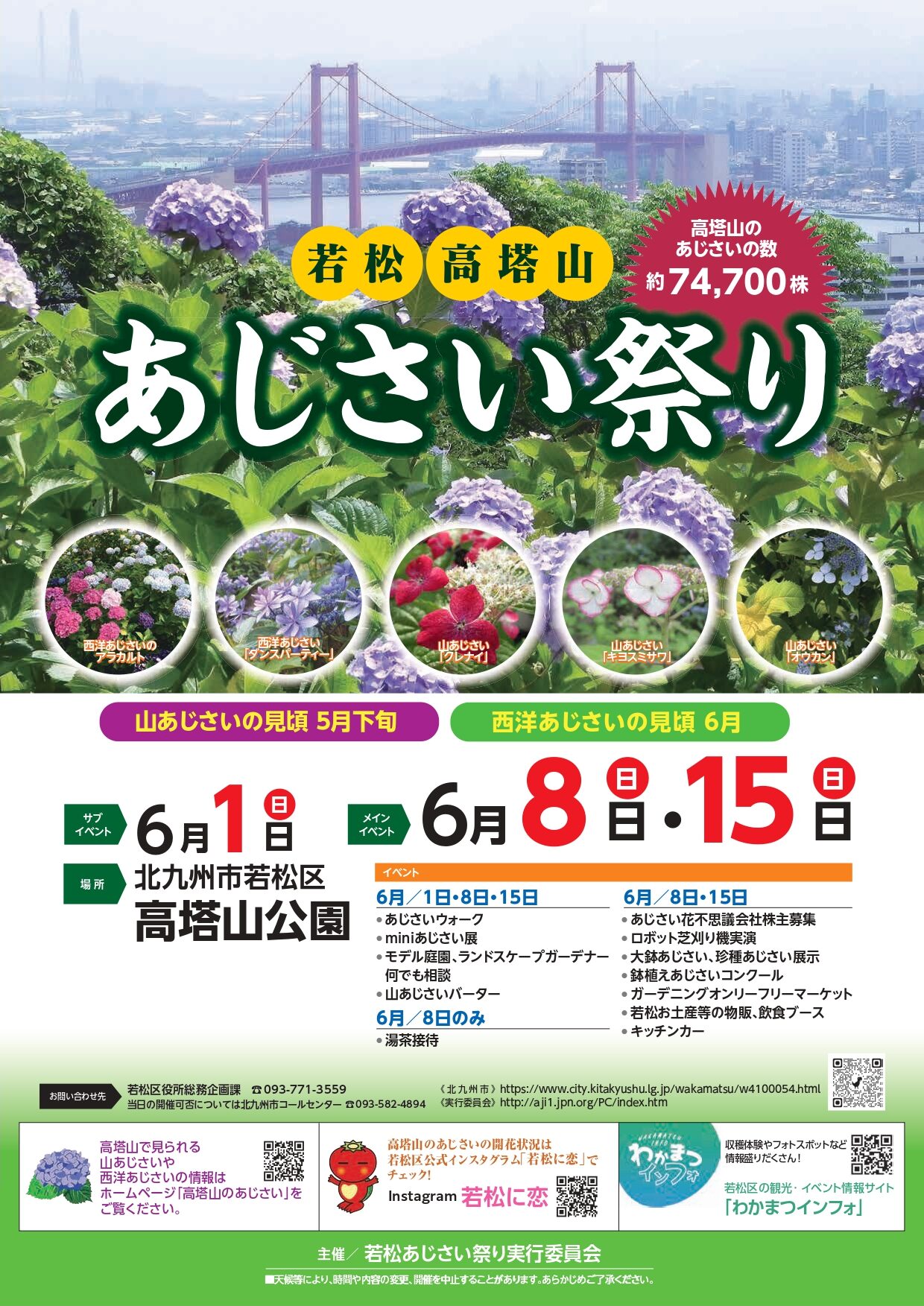 若松あじさい祭り2025 メインビジュアル
