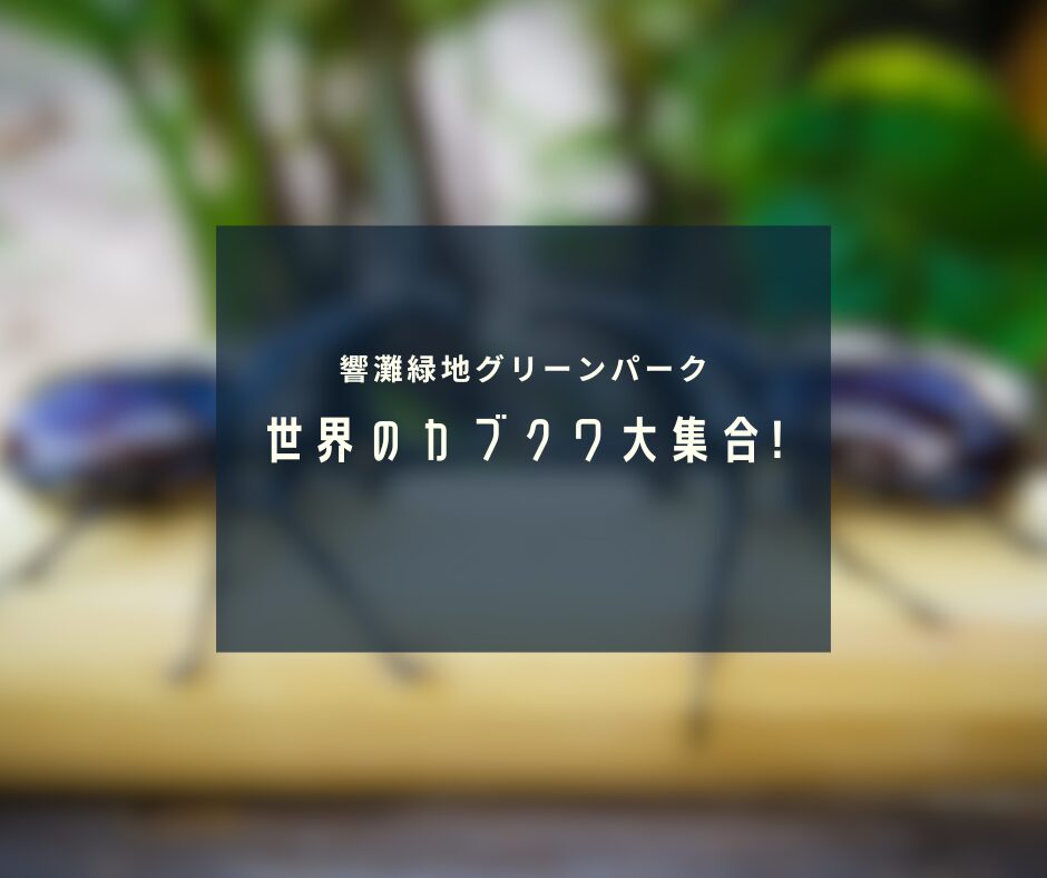世界のカブクワ大集合!! メインビジュアル