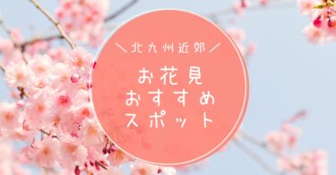 【特集】北九州近郊のオススメお花見スポット