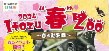 【～ Itozu “春” Zoo ～】毎年恒例のミモザフェアが更に拡大！