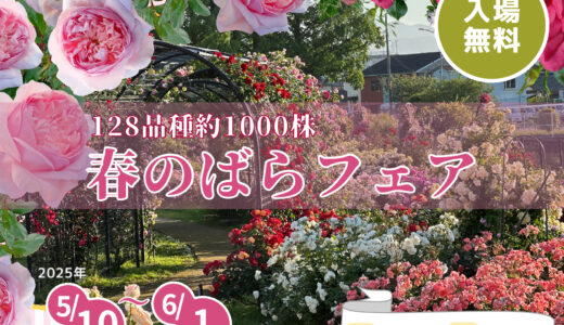 春のばらフェア2025｜色と香りに包まれる初夏のローズイベント！