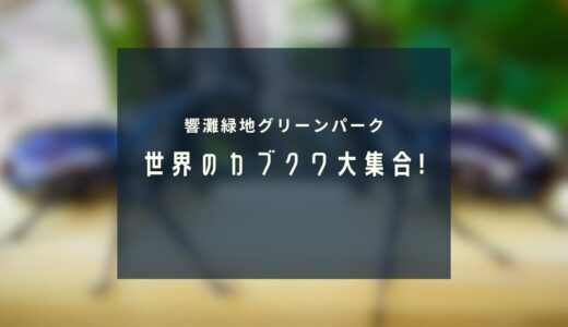昆虫好き集まれ! 世界のカブクワ大集合!!｜見る・触る・買う・学べる体験イベント in グリーンパーク