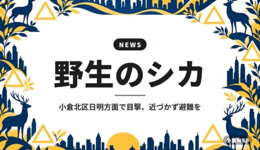 野生のシカ｜小倉北区日明方面で目撃、近づかず避難を