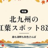 北九州の紅葉スポット8選｜森も湖畔も秋色さんぽ