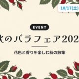 秋のバラフェア2026｜花色と香りを楽しむ秋の散策